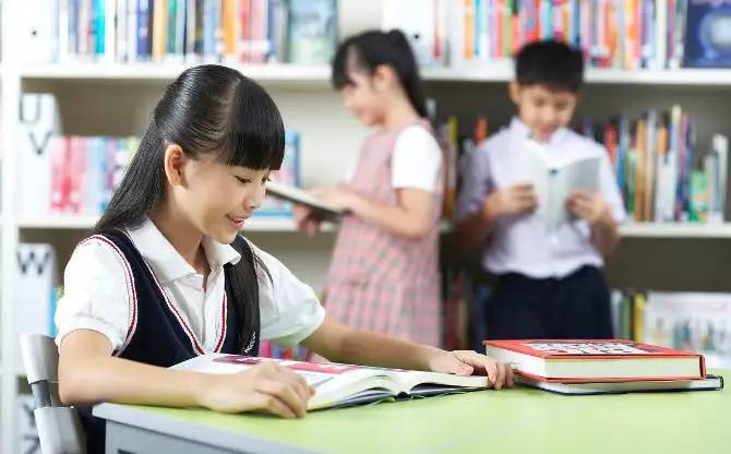 小学生如何制定必要课外阅读计划来提升文化素养